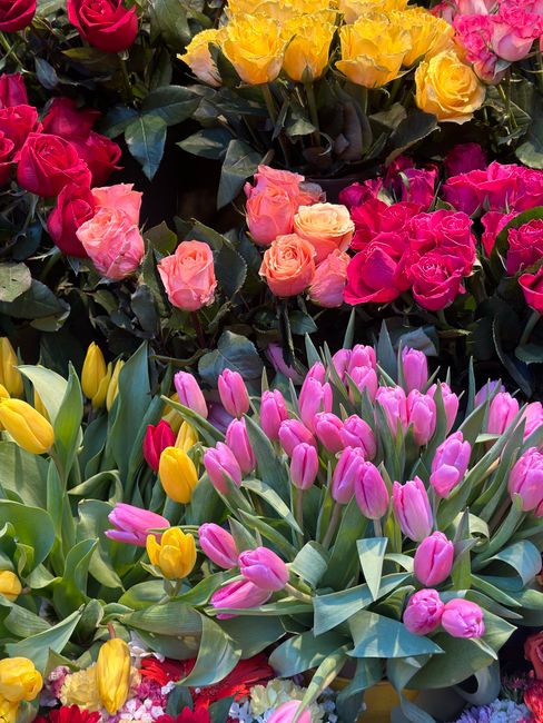 A colorful display of fresh flowers featuring yellow tulips with smooth, elongated petals and green stems, pink tulips with rounded petals and green foliage, and clusters of yellow, pink, and coral ro